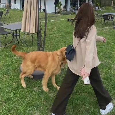 灵镜传奇